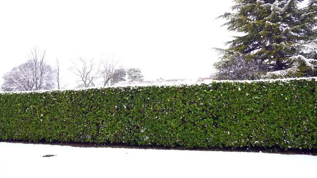 panoramica invernale 