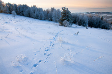 Fototapeta premium beautiful winter landscapes in the valleys