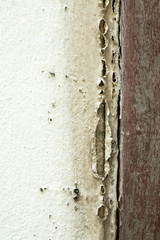 Abstract white cracked concrete and wood texture background, Close up & Macro shot, Selective focus