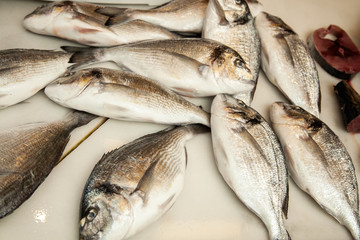 Sea fish on the table