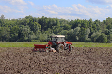 Fototapeta premium A farmer on a red tractor with a seeder sows grain in plowed land in a private field in the village area. Mechanization of spring field work. Farmer's everyday life. Processing of land. The agrarian.