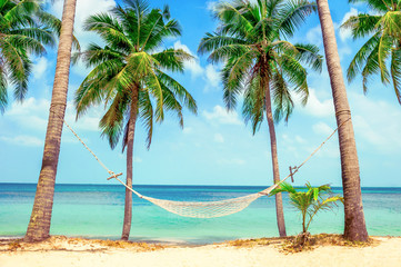 Empty white hammock between palms on a sand beach. Holiday and vacation concept.