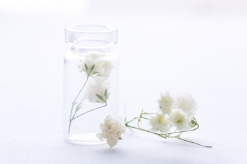 Obraz na płótnie Canvas miniature glass jar with gypsophila flower inside on white background