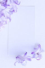 Mock-up white Business card on a white background in purple colours hyacinth