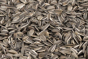 Striped sunflower seeds background texture