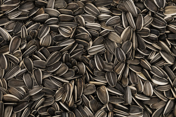 Striped sunflower seeds background texture