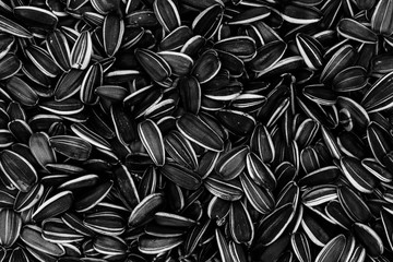Striped sunflower seeds background texture