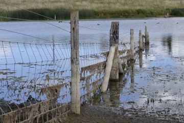 fence on the shore of lake