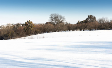 Winter landscape , fields in the snow and trees without snow
