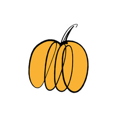 Vector single pumpkin line sketch, hand drawn illustration
