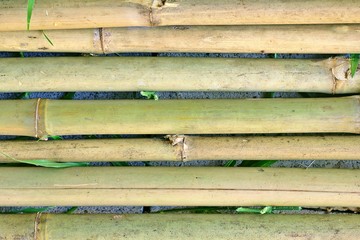 The background of the bamboo pieces is placed in a small yellow green color.