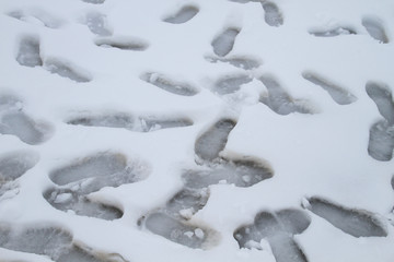 Human footprints on the snow
