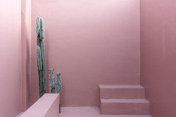 Minimal empty space scene with pink painted wall and little step and artificial cactus for...
