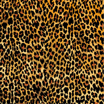 Leopard print pattern, vector illustration