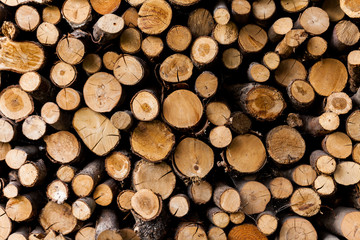 ends of logs wooden background. toning. wood in the stack. - Image
