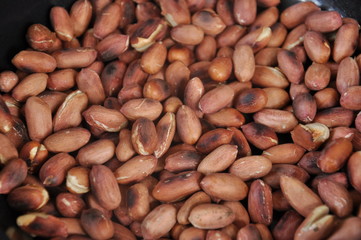 Roasted peanuts
