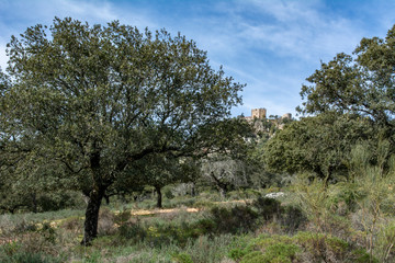 View from Castle of Monfrague, Spain
