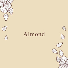 Almond vector illustration in cartoon style. Perfect for menu, card design
