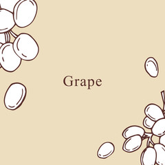 Grapes vector illustration in cartoon style. Perfect for menu, card, bag  design