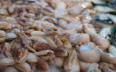 Pulpos pequeños y sardinas  sobre hielo en el mercado