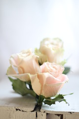 bouquet of  delicate pale pink and cream roses on white background, shallow depth of field 