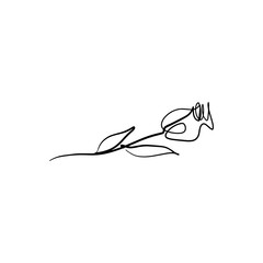 One line rose stylish drawing. Silhouette continuous line flower, vector EPS Illustrator art.