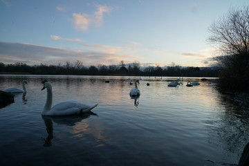duddingstone loch edinburgh