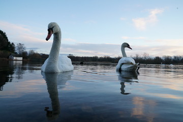 duddingstone loch edinburgh