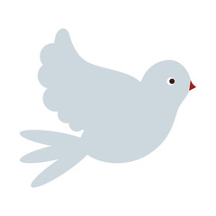 Dove peace bird