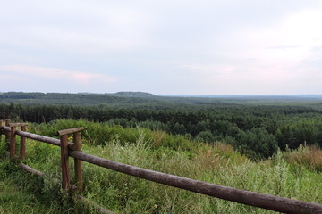 A view of a pine forest and a wooden fence © E-lona