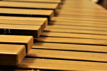 Marimba Xylophone