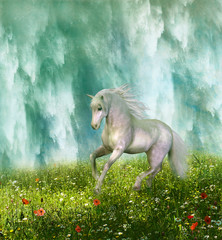 White horse running through the meadow
