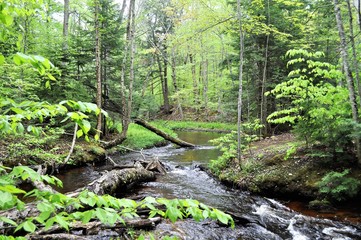 Chapel Falls 9