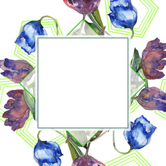 Purple and blue tulip floral botanical flower. Watercolor background illustration set. Frame border ornament square.