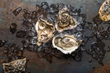 Oysters on vintage background