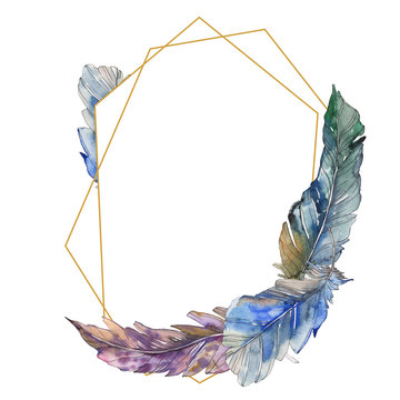 Bird feather from wing isolated. Watercolor background illustration set. Frame border ornament square.