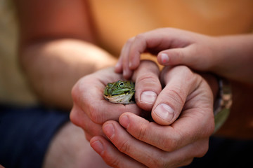 Kinder Hand mit gr&uuml;nem Wasser Frosch