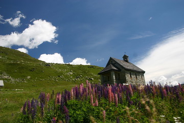 Swiss countryside, alps
