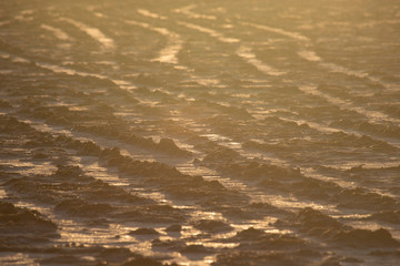 Soil unsuitable for agriculture.