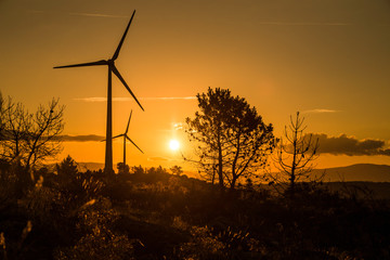 Windturbine in the region of rio Douro, Portugal