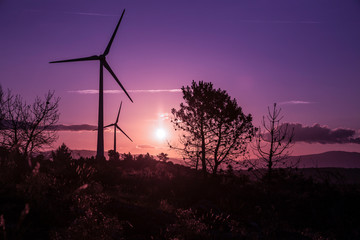 Windturbine in the region of rio Douro, Portugal