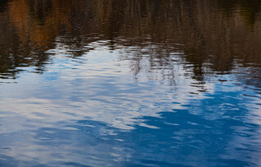 Reflection of forest and blue sky on a pond