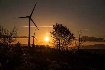 Windturbine in the region of rio Douro, Portugal