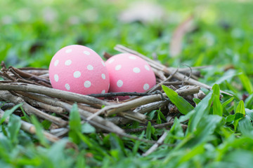 Pink Easter eggs in ovary natural