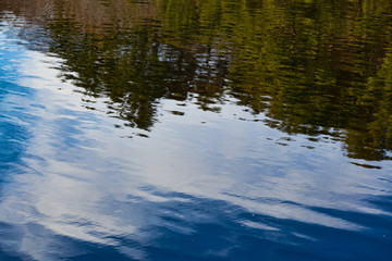 Obraz na płótnie Canvas Reflection of forest and blue sky on a pond