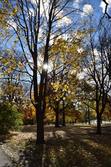 Autumn Sky II