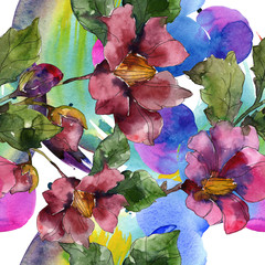 Red purple camelia floral botanical flower. Watercolor illustration set. Seamless background...