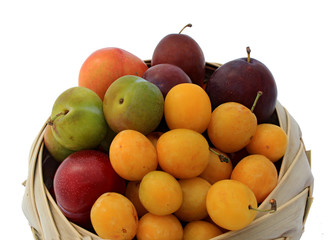corbeille de fruits