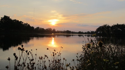 Fototapeta premium sunset over the lake