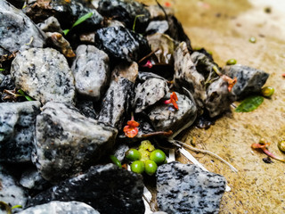 Colorful pattern of stones